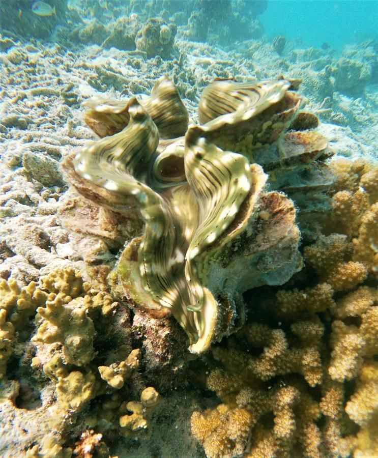 One The Island Hotel Naifaru Exterior photo