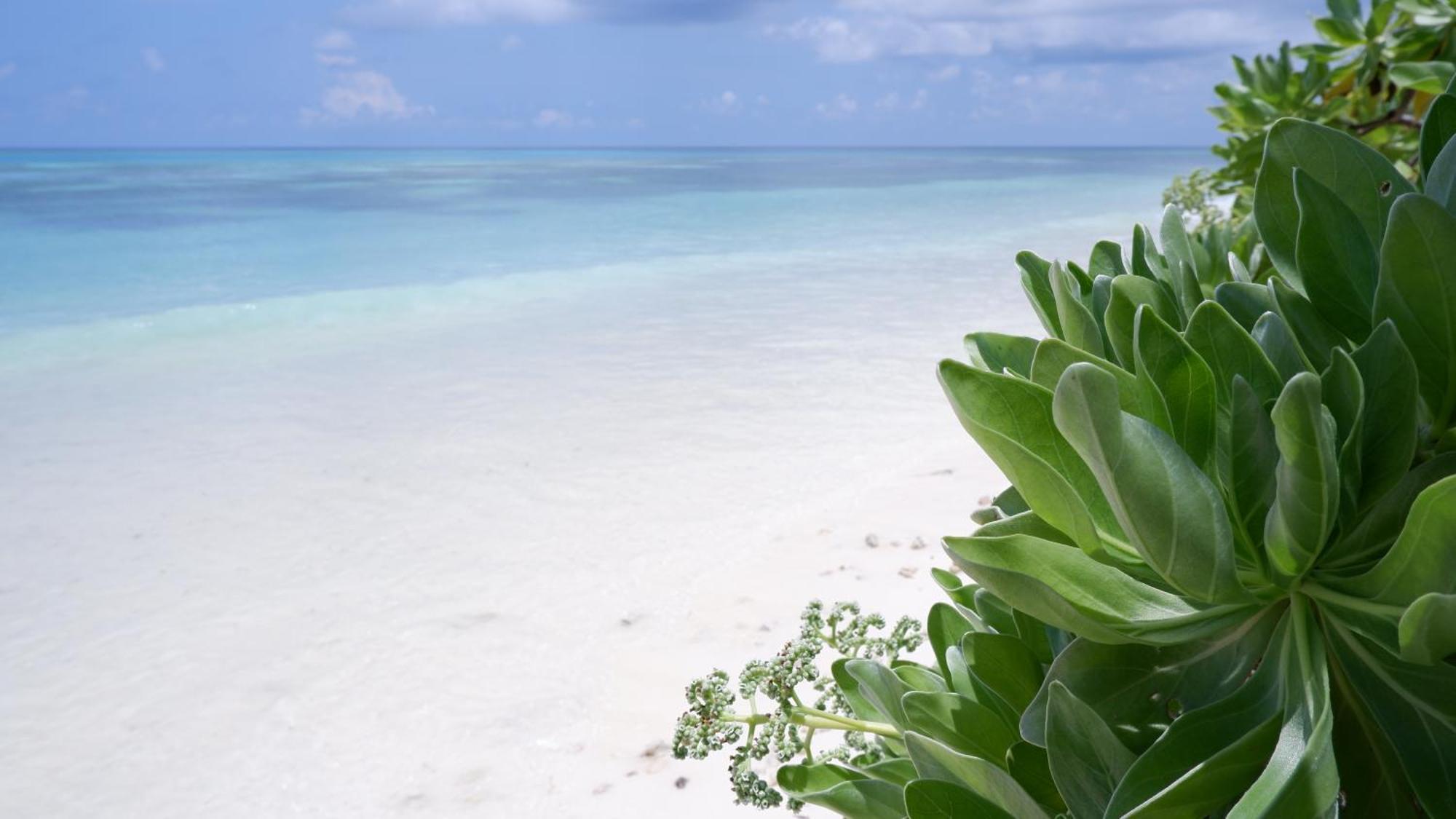 One The Island Hotel Naifaru Exterior photo