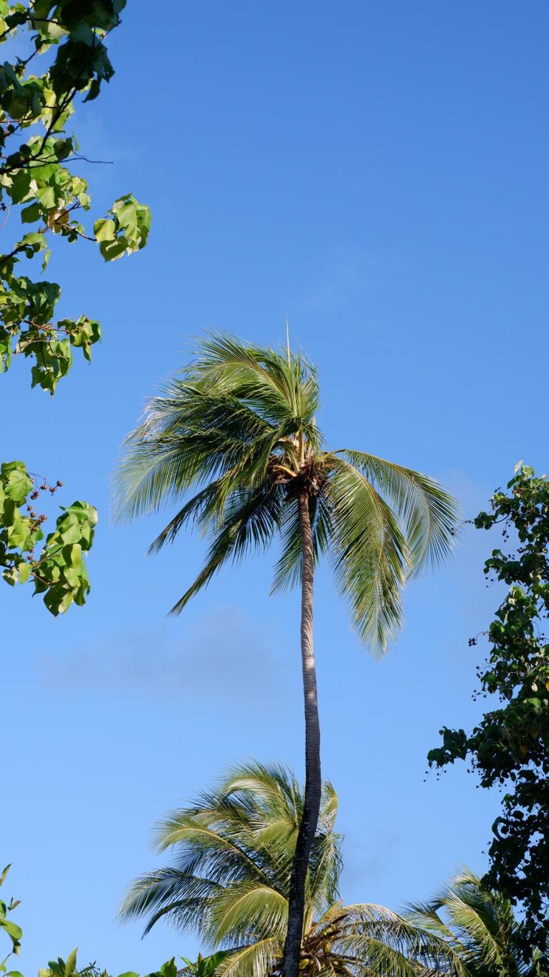 One The Island Hotel Naifaru Exterior photo